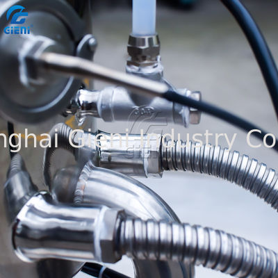 schmelzende rührender Lippenstift-strömende Maschinen-Handmanuelle Art Metallform des Behälter-20L